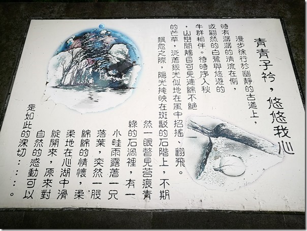 caoling19_thumb 貢寮-草嶺古道 賞芒花