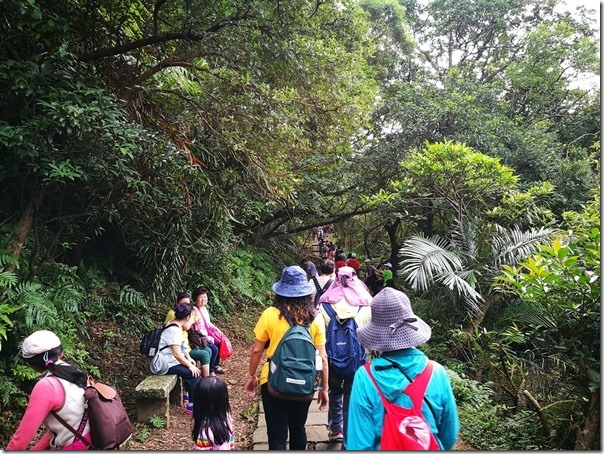 caoling20_thumb 貢寮-草嶺古道 賞芒花