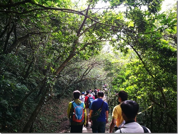 caoling21_thumb 貢寮-草嶺古道 賞芒花