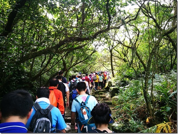 caoling24_thumb 貢寮-草嶺古道 賞芒花