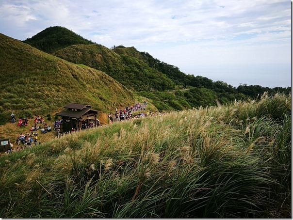 caoling33_thumb 貢寮-草嶺古道 賞芒花