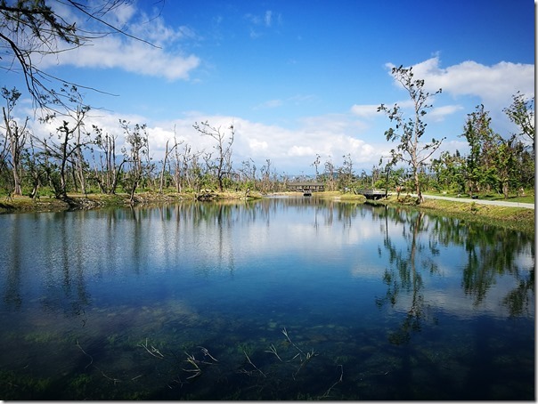 pipalake01_thumb 台東-黑森林琵琶湖 台東版忘憂森林? 美麗無極限之台東森林公園