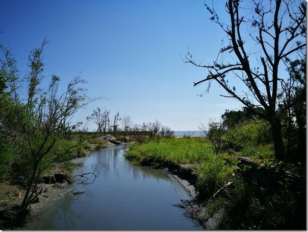 pipalake03_thumb 台東-黑森林琵琶湖 台東版忘憂森林? 美麗無極限之台東森林公園