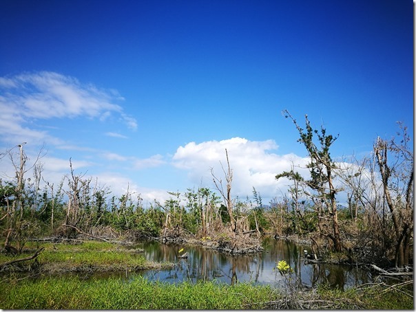pipalake05_thumb 台東-黑森林琵琶湖 台東版忘憂森林? 美麗無極限之台東森林公園