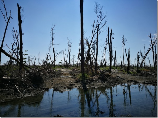 pipalake08_thumb 台東-黑森林琵琶湖 台東版忘憂森林? 美麗無極限之台東森林公園