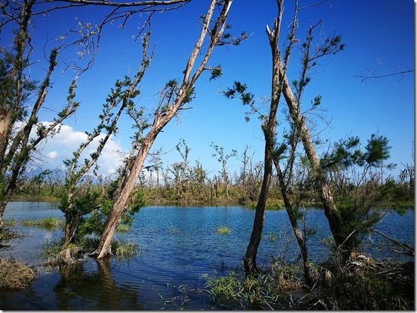 pipalake09_thumb 台東-黑森林琵琶湖 台東版忘憂森林? 美麗無極限之台東森林公園