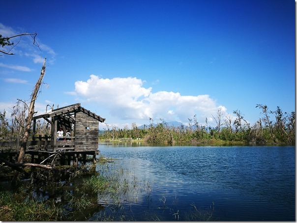 pipalake11_thumb 台東-黑森林琵琶湖 台東版忘憂森林? 美麗無極限之台東森林公園