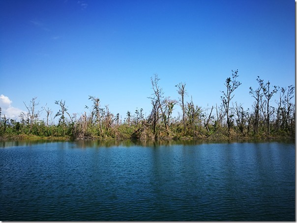 pipalake12_thumb 台東-黑森林琵琶湖 台東版忘憂森林? 美麗無極限之台東森林公園