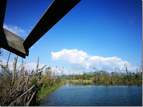 pipalake13_thumb 台東-黑森林琵琶湖 台東版忘憂森林? 美麗無極限之台東森林公園