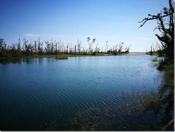 pipalake14_thumb 台東-黑森林琵琶湖 台東版忘憂森林? 美麗無極限之台東森林公園