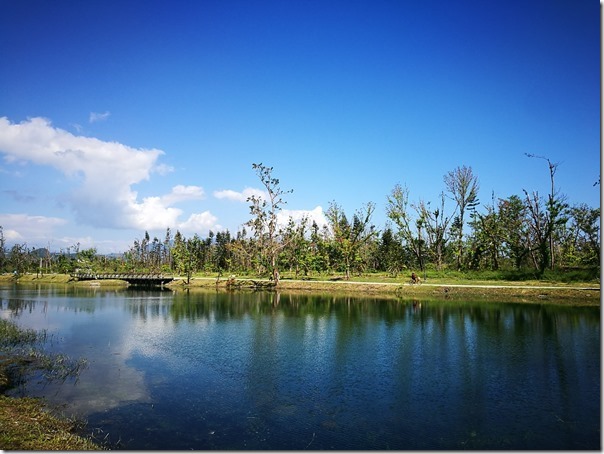 pipalake17_thumb 台東-黑森林琵琶湖 台東版忘憂森林? 美麗無極限之台東森林公園