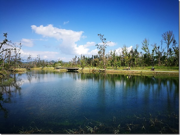 pipalake18_thumb 台東-黑森林琵琶湖 台東版忘憂森林? 美麗無極限之台東森林公園