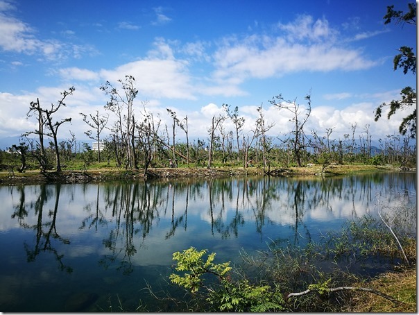 pipalake23_thumb 台東-黑森林琵琶湖 台東版忘憂森林? 美麗無極限之台東森林公園