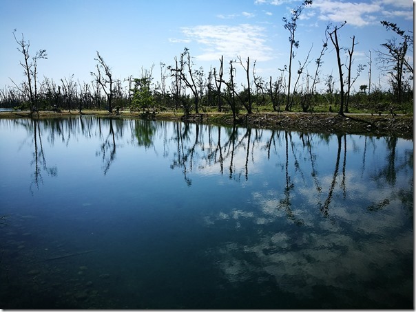 pipalake24_thumb 台東-黑森林琵琶湖 台東版忘憂森林? 美麗無極限之台東森林公園