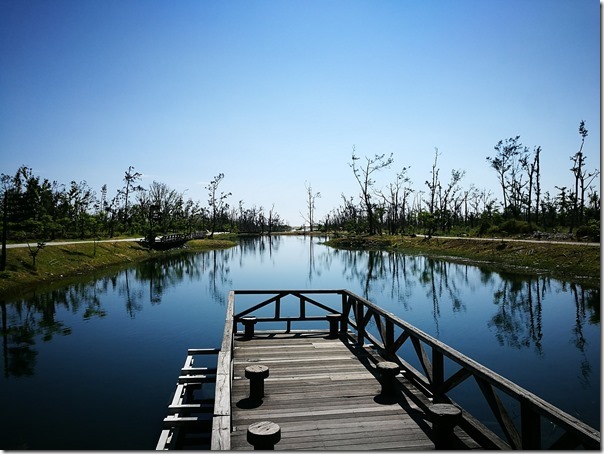 pipalake25_thumb 台東-黑森林琵琶湖 台東版忘憂森林? 美麗無極限之台東森林公園