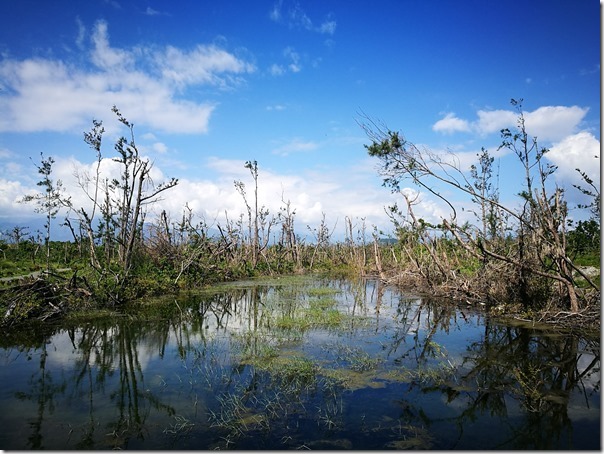 pipalake27_thumb 台東-黑森林琵琶湖 台東版忘憂森林? 美麗無極限之台東森林公園