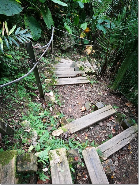 xiaowulai35_thumb 復興-小烏來 此烏來非彼烏來啊