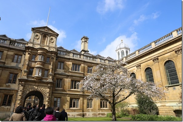 ponting04_thumb Cambridge-再見康橋 許多年後的劍橋 依舊美麗 搭船遊康河