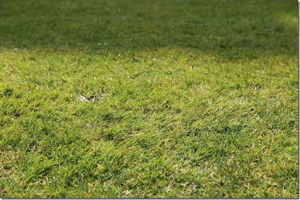 ponting06_thumb Cambridge-再見康橋 許多年後的劍橋 依舊美麗 搭船遊康河