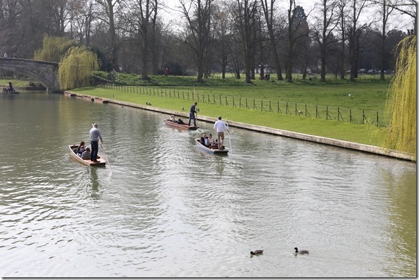 ponting07_thumb Cambridge-再見康橋 許多年後的劍橋 依舊美麗 搭船遊康河