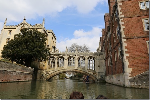 ponting16_thumb Cambridge-再見康橋 許多年後的劍橋 依舊美麗 搭船遊康河
