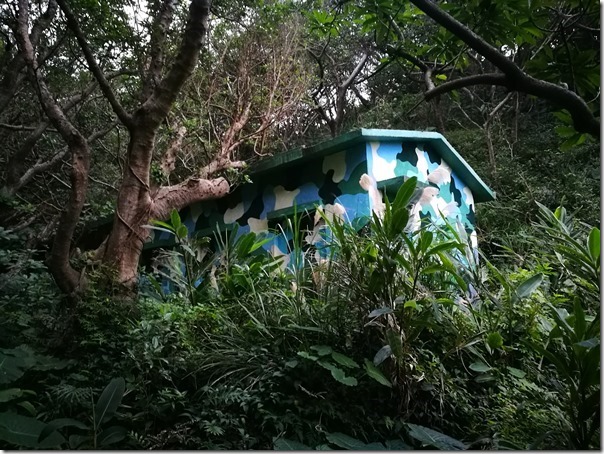 12231_thumb 金山-神秘海岸/燭台雙嶼/獅頭山公園 吹著寒風也要賞的美景