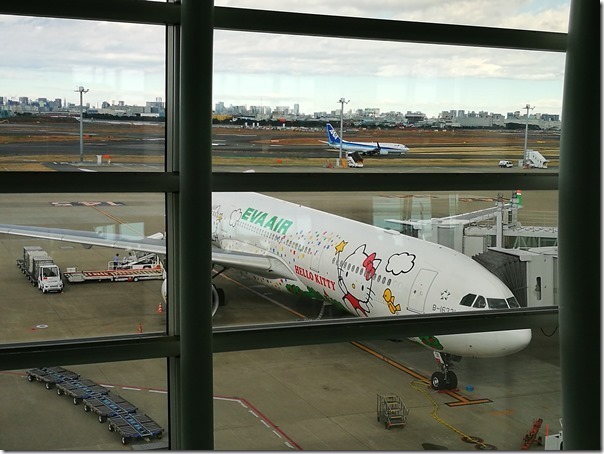 flyfly08_thumb 201612一年又結束了 謝謝Kitty一年來的照顧