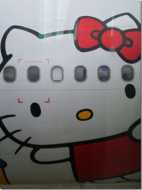 flyfly09_thumb 201612一年又結束了 謝謝Kitty一年來的照顧