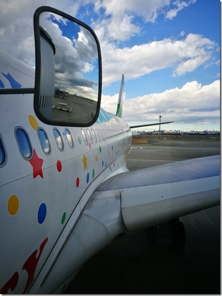 flyfly10_thumb 201612一年又結束了 謝謝Kitty一年來的照顧