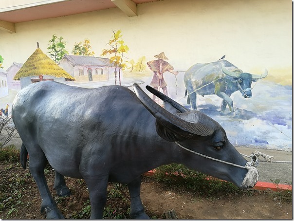 luchukanko01_thumb 蘆竹-機捷坑口站 唯一景點坑口彩繪村