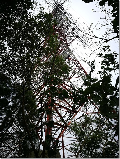 yuanmt06_thumb 三峽-鳶山頂 視野遼闊