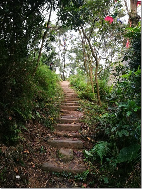 yuanmt11_thumb 三峽-鳶山頂 視野遼闊