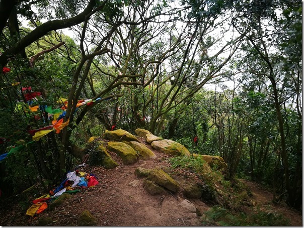 yuanmt13_thumb 三峽-鳶山頂 視野遼闊