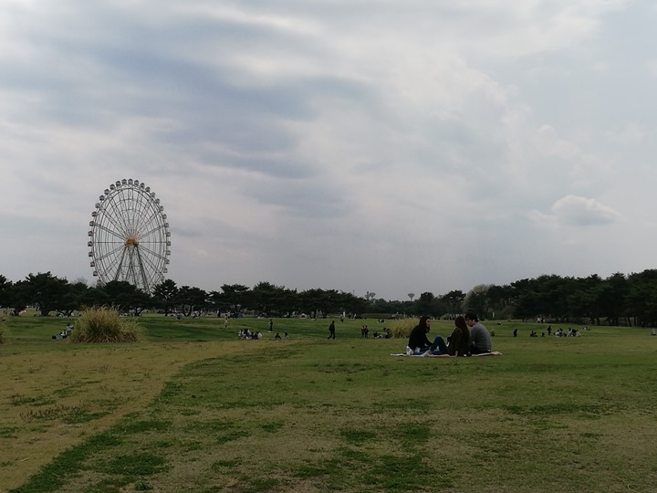 hitachiseasidepark00102 Ibaraki-茨城縣国営ひたち(常陸)海浜公園 粉蝶飛舞浪漫整個春天 CNN推薦必訪