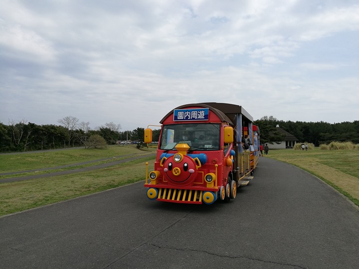 hitachiseasidepark00104 Ibaraki-茨城縣国営ひたち(常陸)海浜公園 粉蝶飛舞浪漫整個春天 CNN推薦必訪