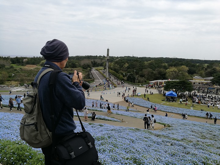 hitachiseasidepark00111 Ibaraki-茨城縣国営ひたち(常陸)海浜公園 粉蝶飛舞浪漫整個春天 CNN推薦必訪