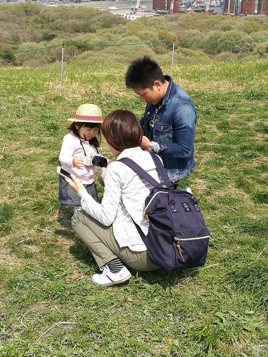 hitachiseasidepark00125 Ibaraki-茨城縣国営ひたち(常陸)海浜公園 粉蝶飛舞浪漫整個春天 CNN推薦必訪