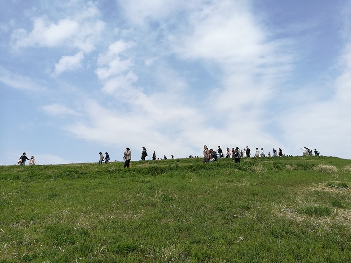 hitachiseasidepark00128 Ibaraki-茨城縣国営ひたち(常陸)海浜公園 粉蝶飛舞浪漫整個春天 CNN推薦必訪