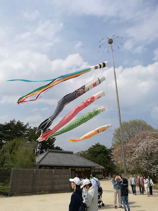 hitachiseasidepark00140 Ibaraki-茨城縣国営ひたち(常陸)海浜公園 粉蝶飛舞浪漫整個春天 CNN推薦必訪