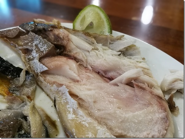 tongkan8_thumb 竹北-來去東港 極品海鮮粥真的誠意滿滿