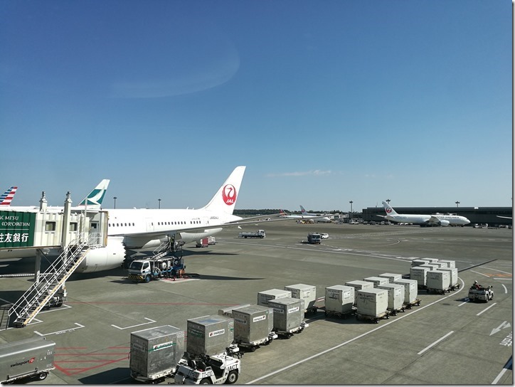 1119_thumb 201704 松山羽田成田桃園 小花越來越好飛