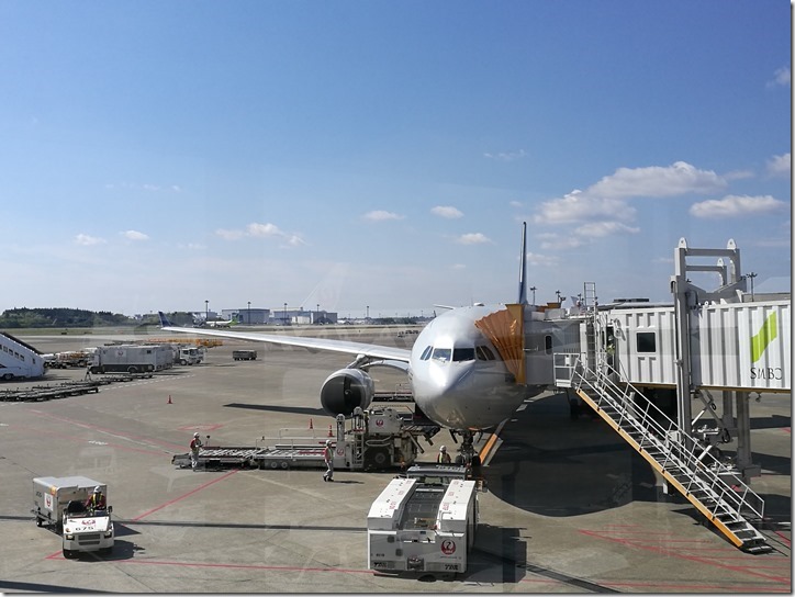 1127_thumb 201704 松山羽田成田桃園 小花越來越好飛