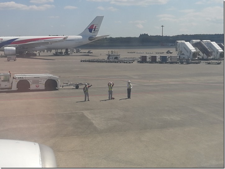 1130_thumb 201704 松山羽田成田桃園 小花越來越好飛