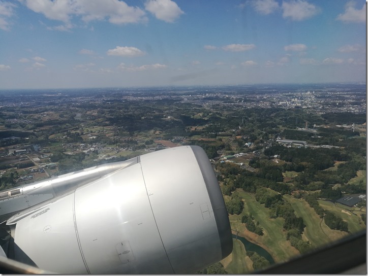 1131_thumb 201704 松山羽田成田桃園 小花越來越好飛