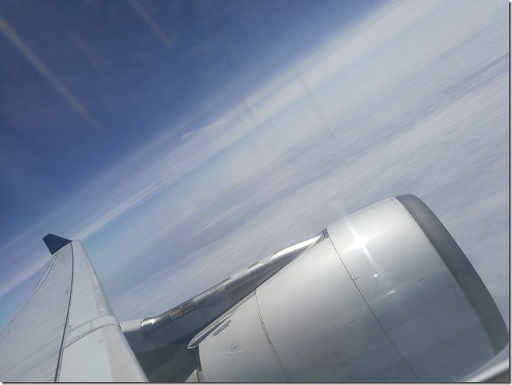 1132_thumb 201704 松山羽田成田桃園 小花越來越好飛