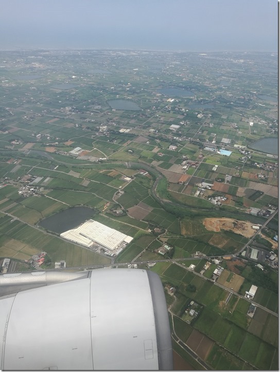 1136_thumb 201704 松山羽田成田桃園 小花越來越好飛