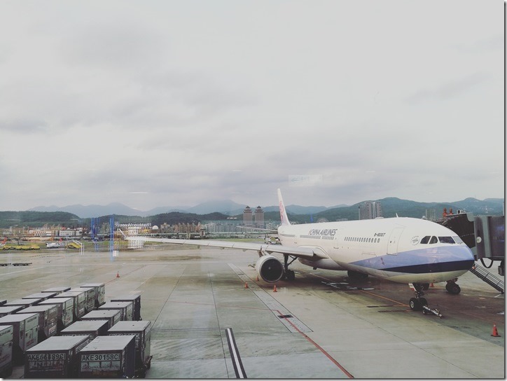 201704 松山羽田成田桃園 小花越來越好飛