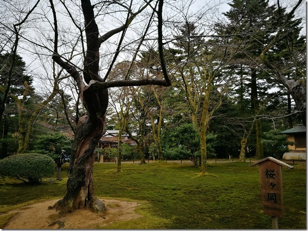 kenrokuen5005_thumb Kanazawa-日本三大名園 二訪兼六園 金澤必訪