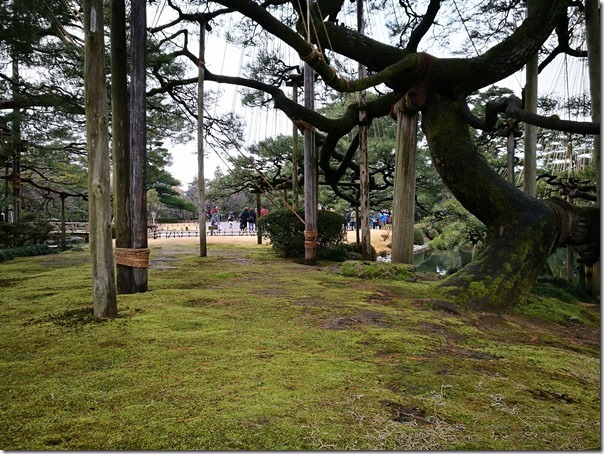 kenrokuen5008_thumb Kanazawa-日本三大名園 二訪兼六園 金澤必訪