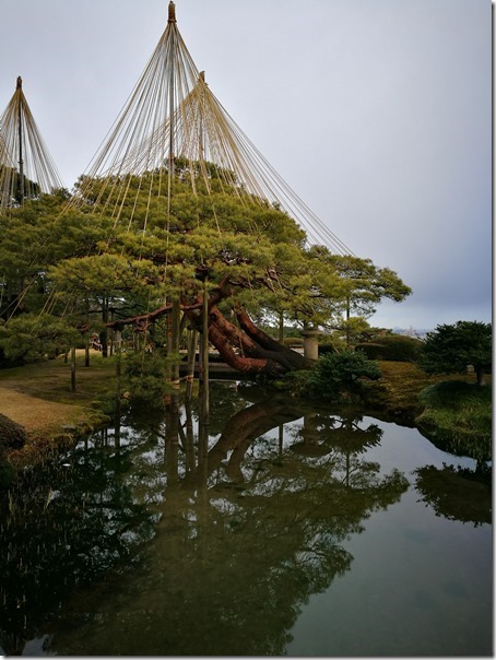 kenrokuen5012_thumb Kanazawa-日本三大名園 二訪兼六園 金澤必訪